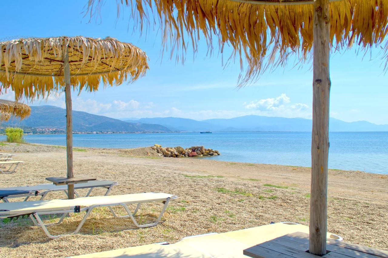 Epipleon Luxury Suites -102- Δωμάτιο 45Τμ Με Βεράντα 35Τμ Μπροστά Στη Θάλασσα 纳弗帕克托斯 外观 照片